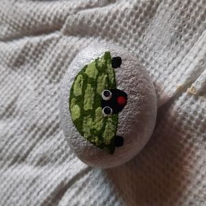 Hand painted River Pet Rocks ( Turtle)